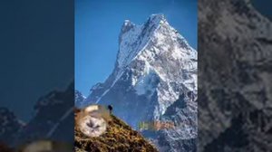 ШЕРАЛИ ЖУРАЕВ.1976ЙИЛ  КОНЦЕРТ АСАКА БОГИДА.