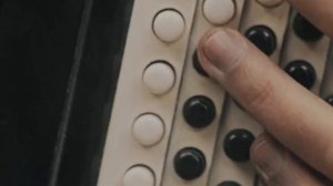 Редкий вид (Киноуроки в Школе)