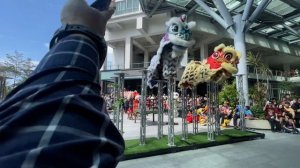 Acrobatic Lion Dance Performance at Imago Shopping Mall Kota Kinabalu