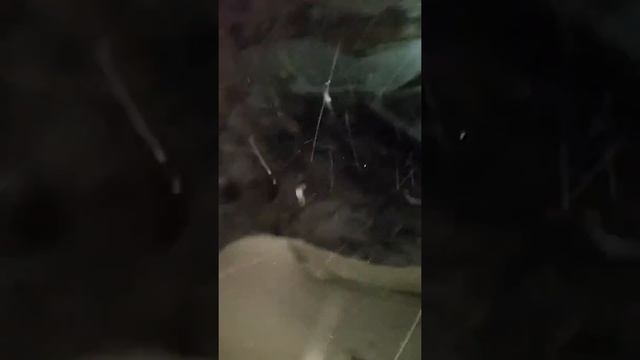 Аэрапорт  волгоград