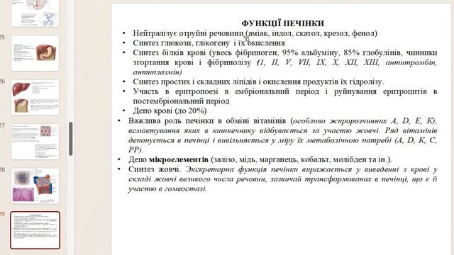Анатомія та фізіологія людини - 33. Підшлункова залоза та печінка.