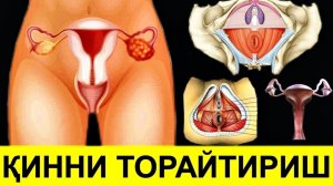 AYOLNING JINSIY AZOLARINI TORAYTIRISH OCHIQCHASIGA KO'RSATILDI