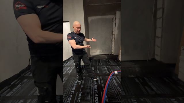 Zems Pro Стоимость Проекта