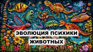 09.1. Стадии эволюции психики по Леонтьеву