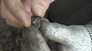 новый склон- новые находки