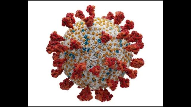 Exploring Biomolecules: The Essence of Life, Introduction