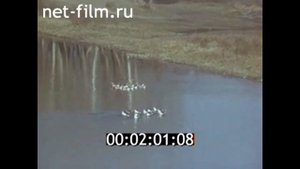 1977г. Северодонецк. река Северский Донец. химический комбинат. Ворошиловградская обл.