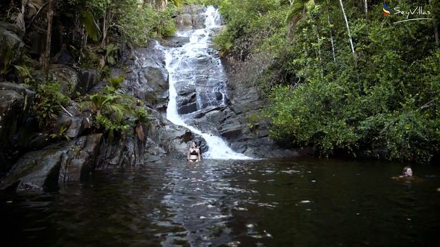 Le cascate Sauzier a Mahé смотреть онлайн
