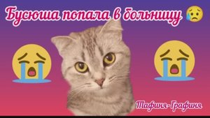 😻Бусюша попала в больницу 😭
