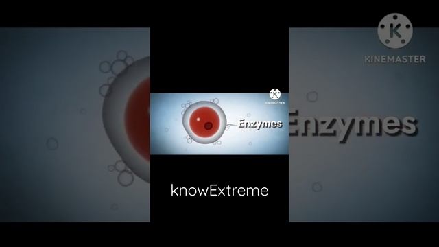 Hydrolytic Enzymes of Acrosome | Human Sperm | Human Reproduction