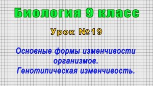 Биология 9 класс (Урок№19 - Основные формы изменчивости организмов. Генотипическая изменчивость.)