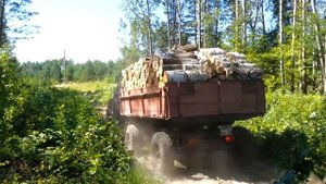 Вывоз Дров на Тракторе ЛТЗ-60АВ .