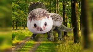 Виды Хренобуса! (ёж из блоп топ). #блоптоп @bloptop