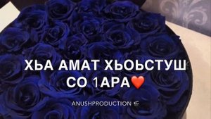 Зара Хайдарова-Дахаран туьйра🥀