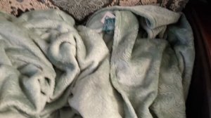 прятки с бартоломеем 👍🌸🌼😋👵к нам в деревню приехал Бартоломей