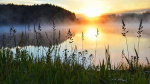 Край ты мой заброшенный. Есенин