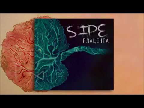 Sipe - Плацента