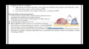 MSS Biochemistry - Calcium and Phosphate Homeostasis / Hypercalcemia by Ibrahim Al-Sawalha