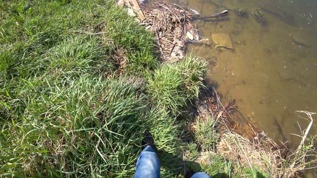 Экспрес охота на сазана(slingshot fishing) смотреть онлайн