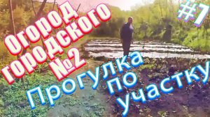 21е мая 2019