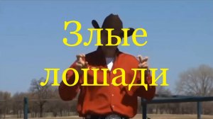 Злые лошади (Клинтон Андерсон).