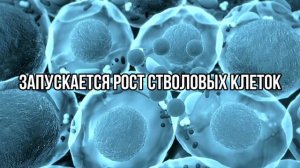 Как ГОЛОДОМ за 4 дня ВЫЧИСТИТЬ организм от воспалений, болезней? КАК ЭТО РАБОТАЕТ?