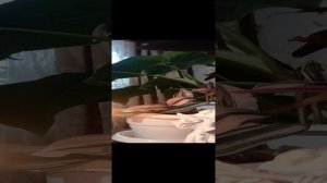 Таро.Что происходит в семье.