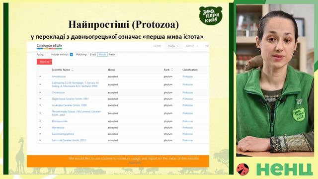 Найпростіші організми. Курс "Зоологія в зоопарку"