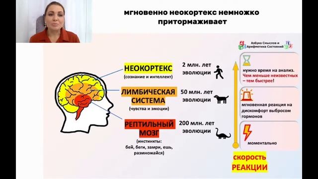 Мозг и эмоции: 3 отдела мозга, Неокортекс. Наталья Медякова. 30.10.22