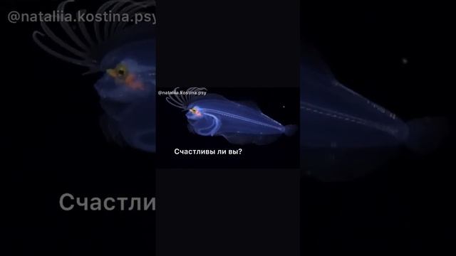 #психология#счастье#смыслжизни#жизньпослесмерти смотреть онлайн