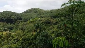 Seethawaka Wet Zone Botanic Gardens Tour Sri Lanka 2016-08-20