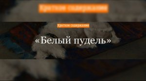 Краткое содержание - Белый пудель