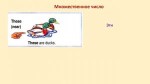 Указательные местоимения в английском языке