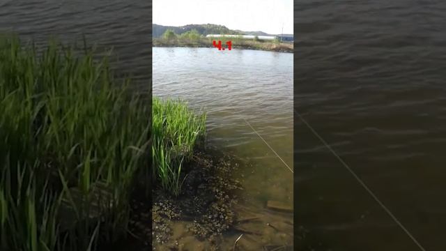 весенняя охота(архив) смотреть онлайн