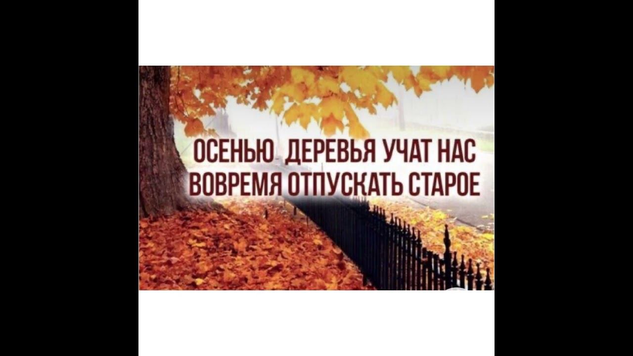 Психология мысли: Осенью деревья учат …/29.10.21