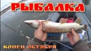 Осенняя рыбалка на оке.ТРОЛЛИНГ... ловля жереха