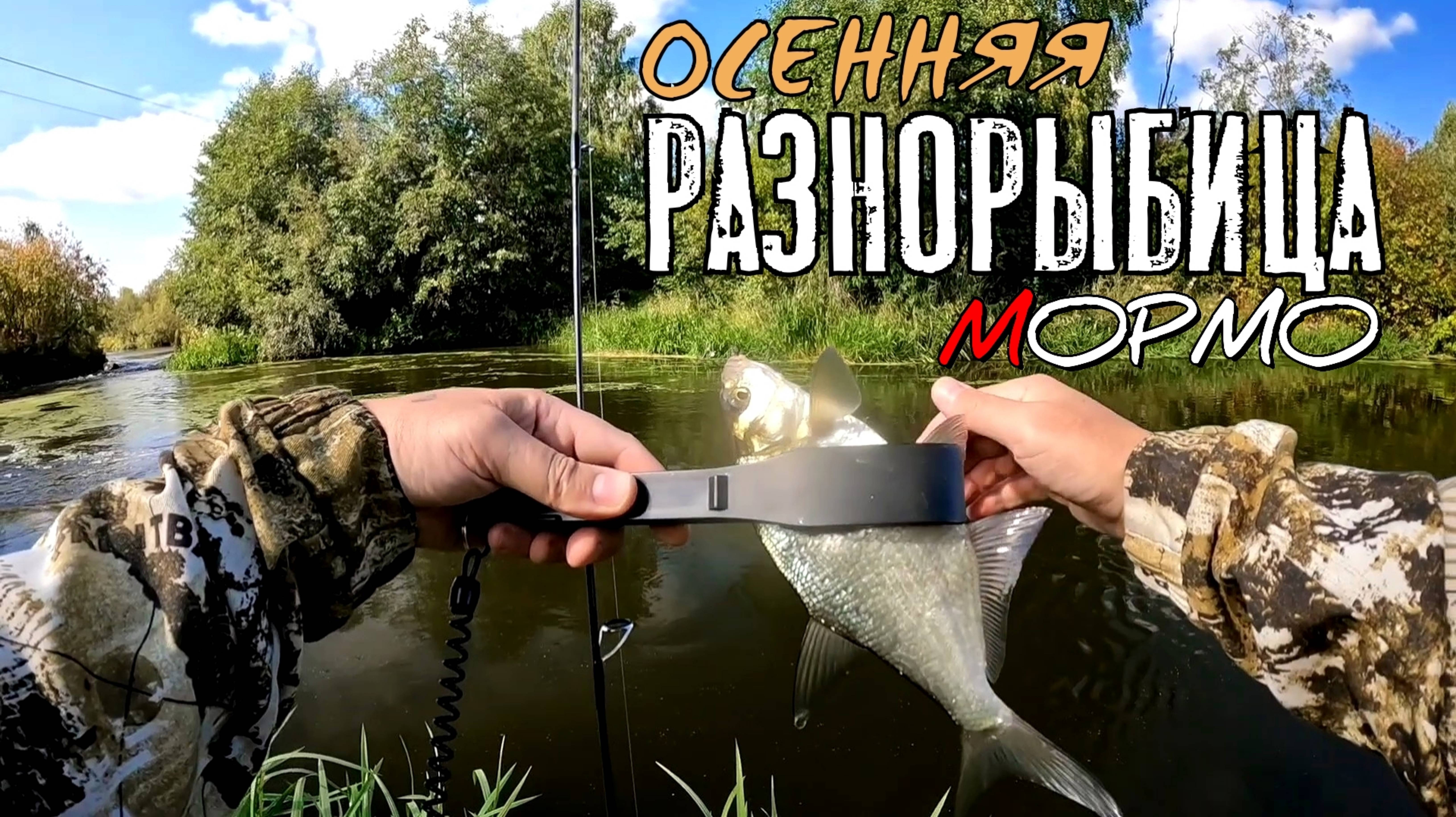 Осенняя разнорыбица. Мирная рыба.  Мормышинг наноджиг ультралайт