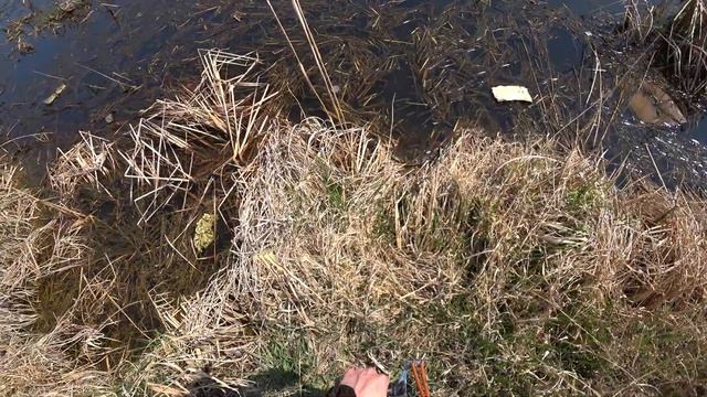 Карасиная Охота))) смотреть онлайн