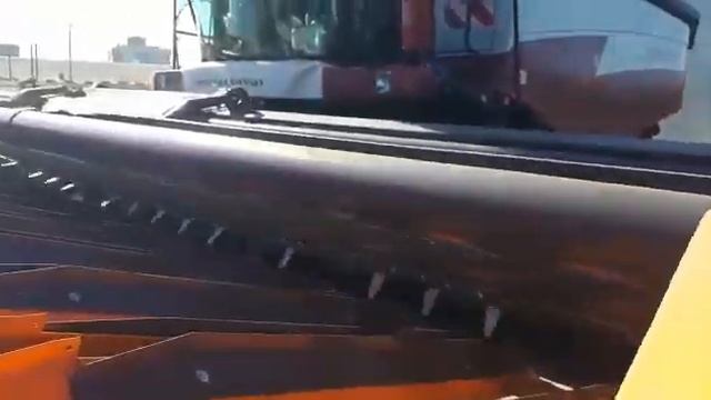 Обкатка жатки для уборки подсолнечника смотреть онлайн