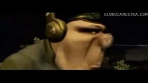 GLUKOZA- Schweine(OficialVideo)