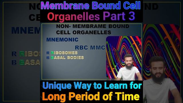 Unique Way to Learn Double Membranes of Cell Organelles #shorttricks  #biology #mnemonics