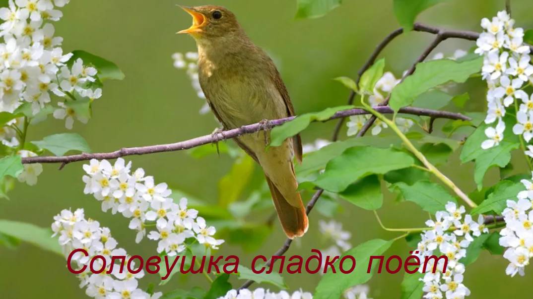 Инвестиции в BigData