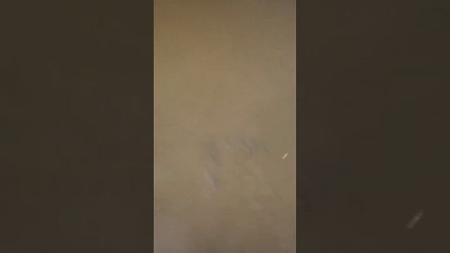 плавает подо льдом смотреть онлайн