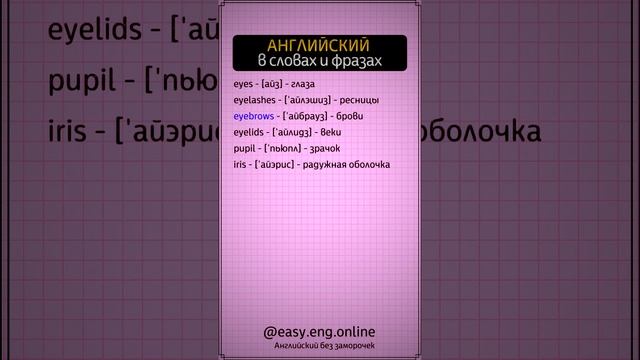 📚 КУРСЫ АНГЛИЙСКОГО ЯЗЫКА | ❌ АНГЛИЙСКИЙ ЯЗЫК С НУЛЯ ДО АВТОМАТИЗМА