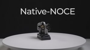 Native-NOCE