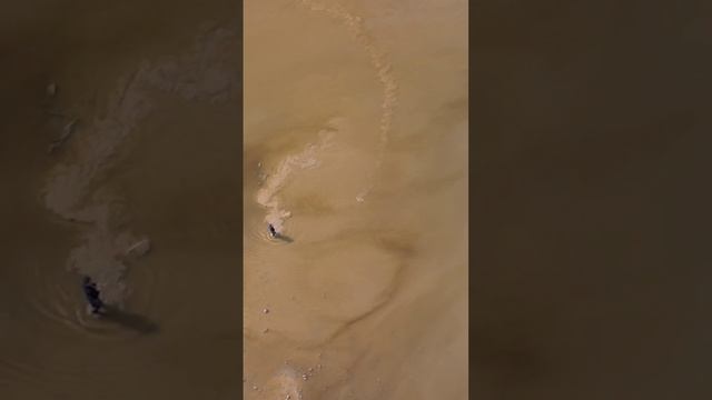 рыбалка на дергачь смотреть онлайн