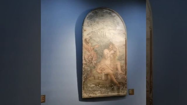 Эрмитаж. Рафаель Санти. Фрески переведённые на холст. смотреть онлайн