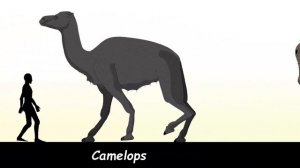 Size Comparison: Prehistoric Animals(random) Animated 2.