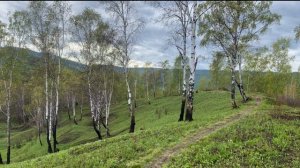 Боже мой на пути слабнут силы мои....