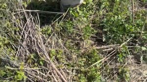 М9Т 180 джоулей